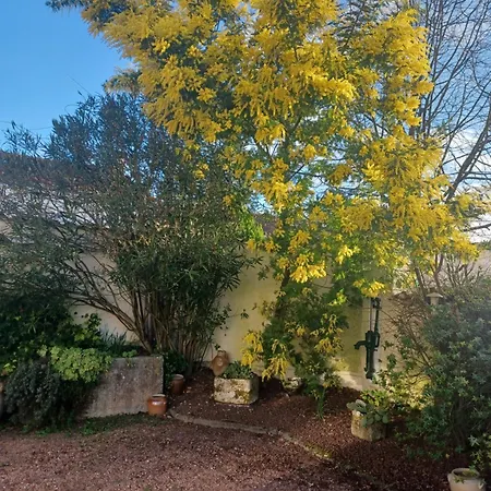 Bed & Breakfast D'hotes Des Tourterelles