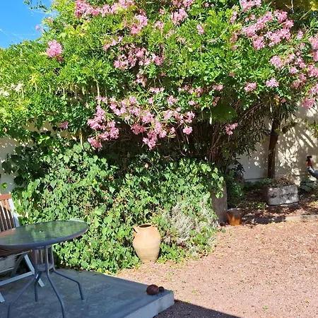 D'hotes Des Tourterelles