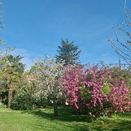 Bed & Breakfast D'hotes Des Tourterelles 3*