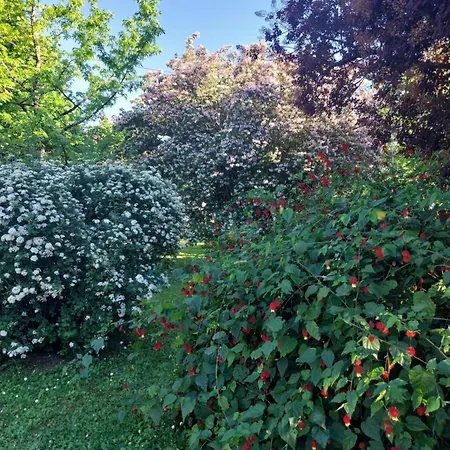 D'hotes Des Tourterelles Bed & Breakfast